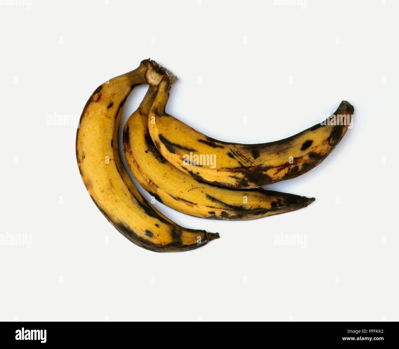 Plantain ripe hires stock photography and images Alamy