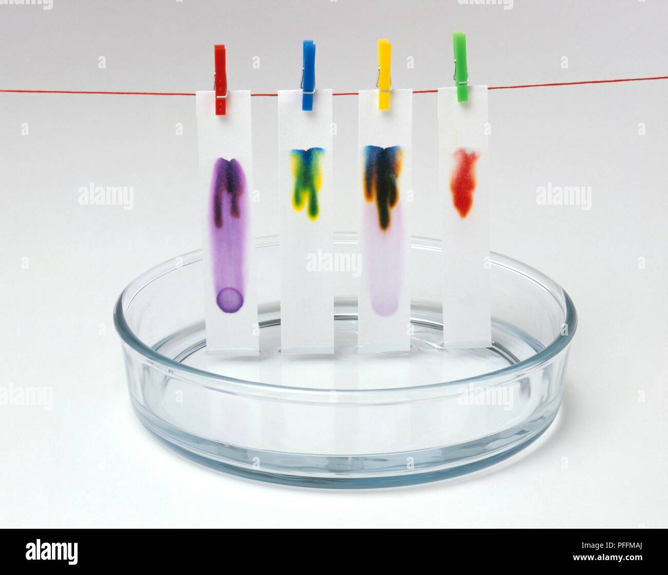 Litmus paper experiment hires stock photography and images Alamy