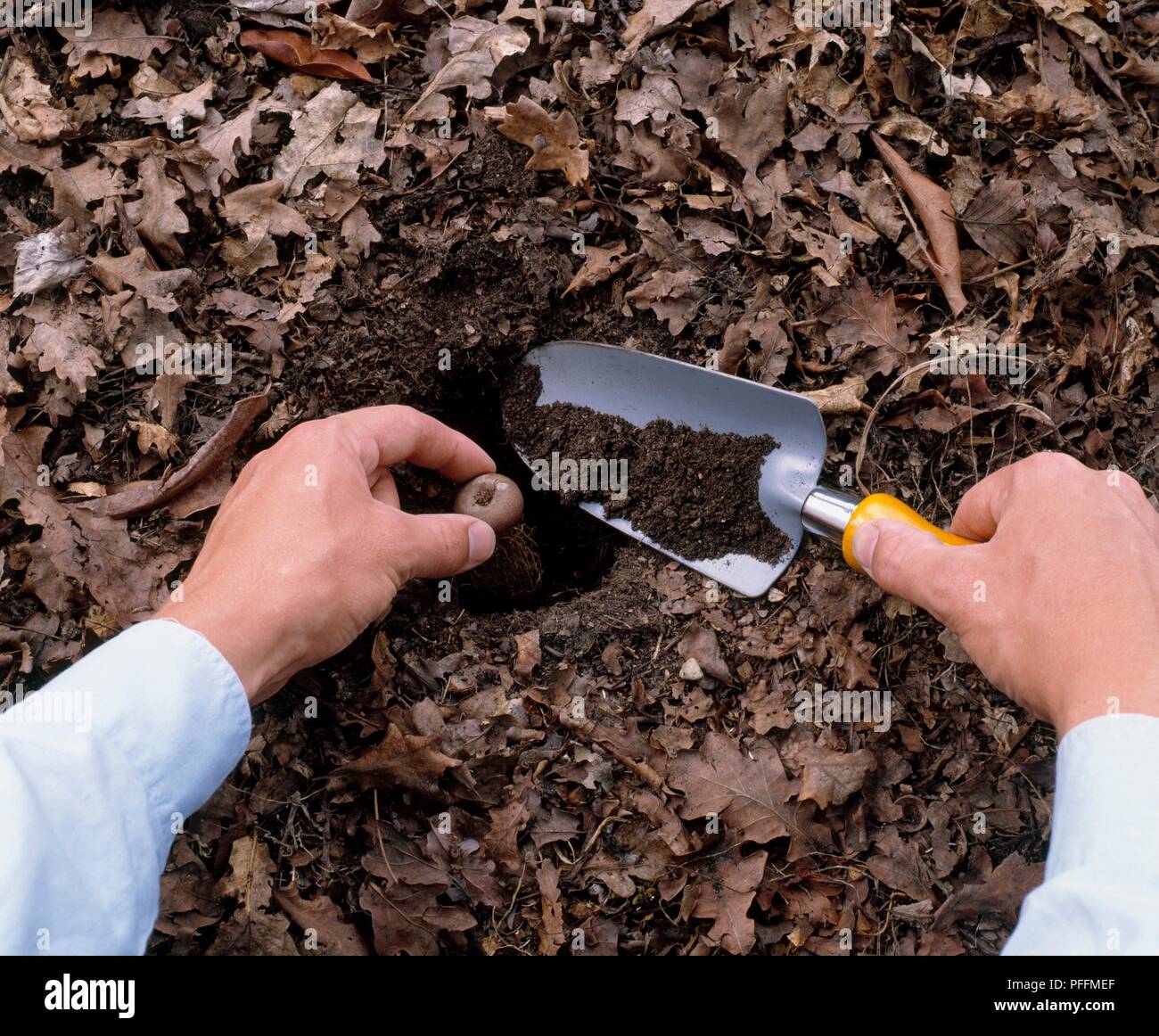 Filling trowel best sale