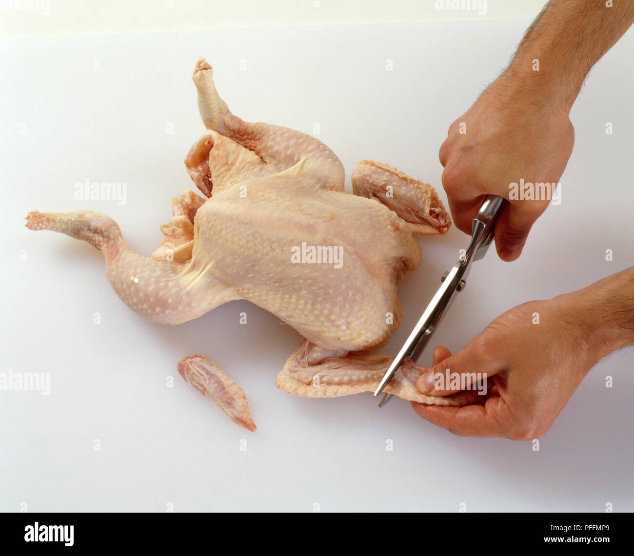 Using poultry shears to cut wing tips off whole chicken Stock Photo