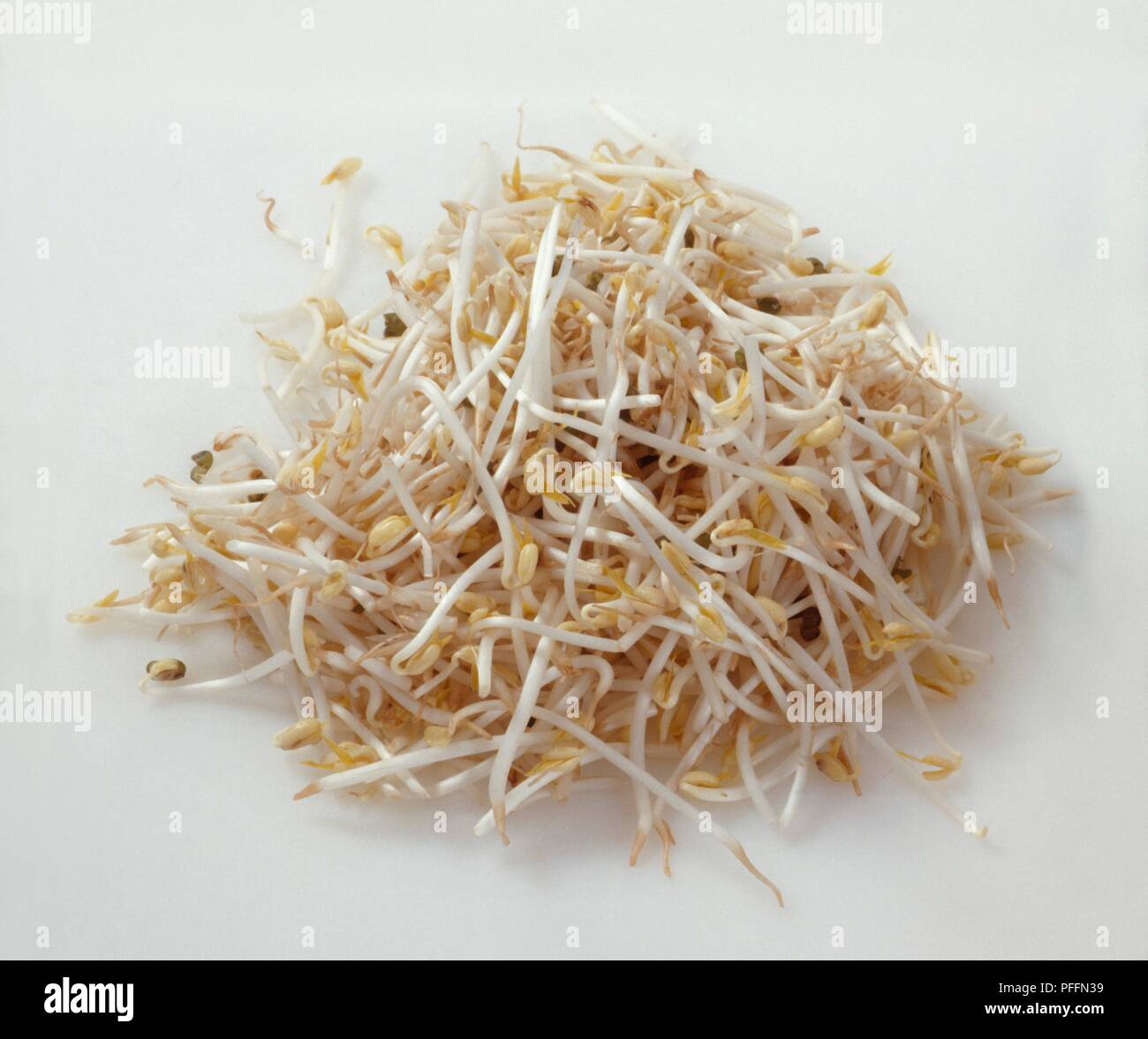 Fresh bean sprouts Stock Photo Alamy