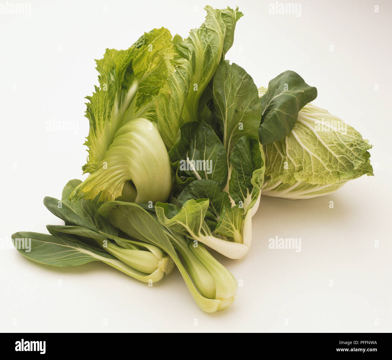 Brassica oleracea, tightheaded Chinese Cabbage and two looseleaved
