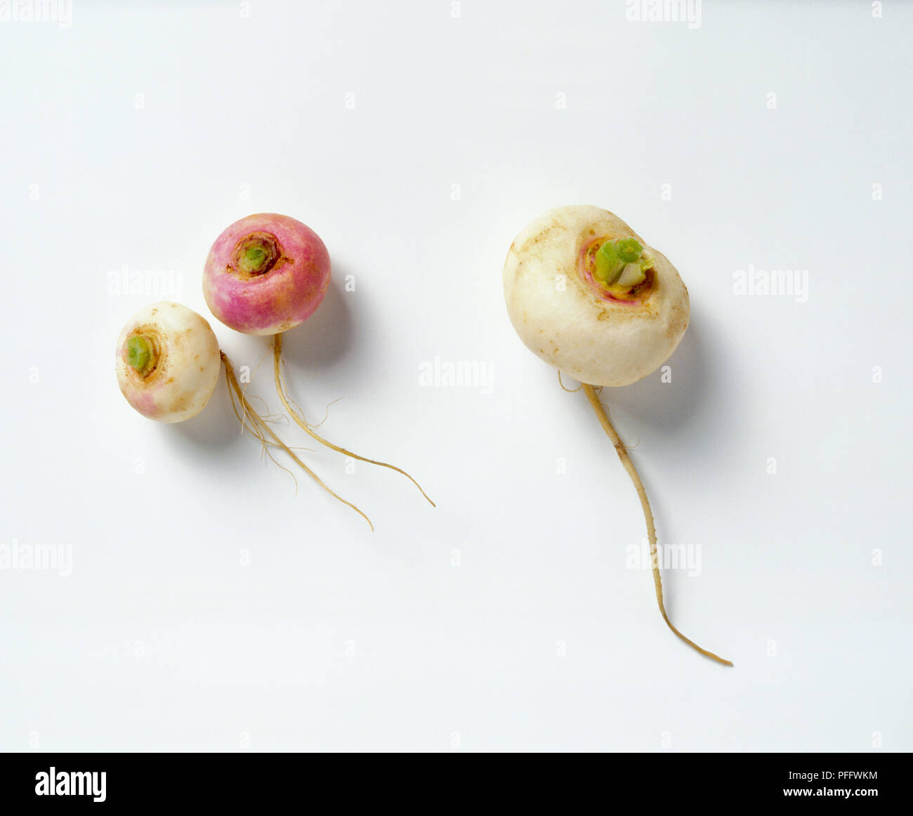 Three turnips with roots Stock Photo Alamy