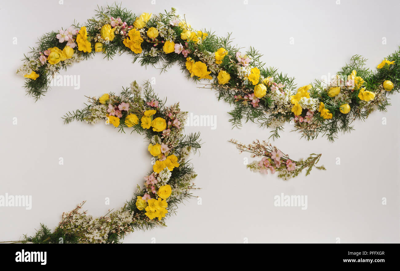 Above view of long strands of Easter garlands with yellow Polyanthuses and Ranunculi, pale pink Cherry Blossom, white Lilac, ice pink Broom attached to a fine rope. Stock Photo