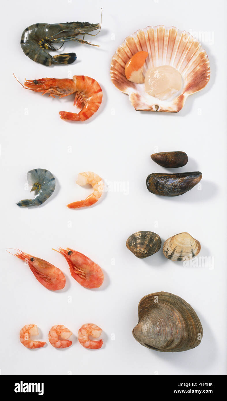 Shellfish, raw and cooked Stock Photo