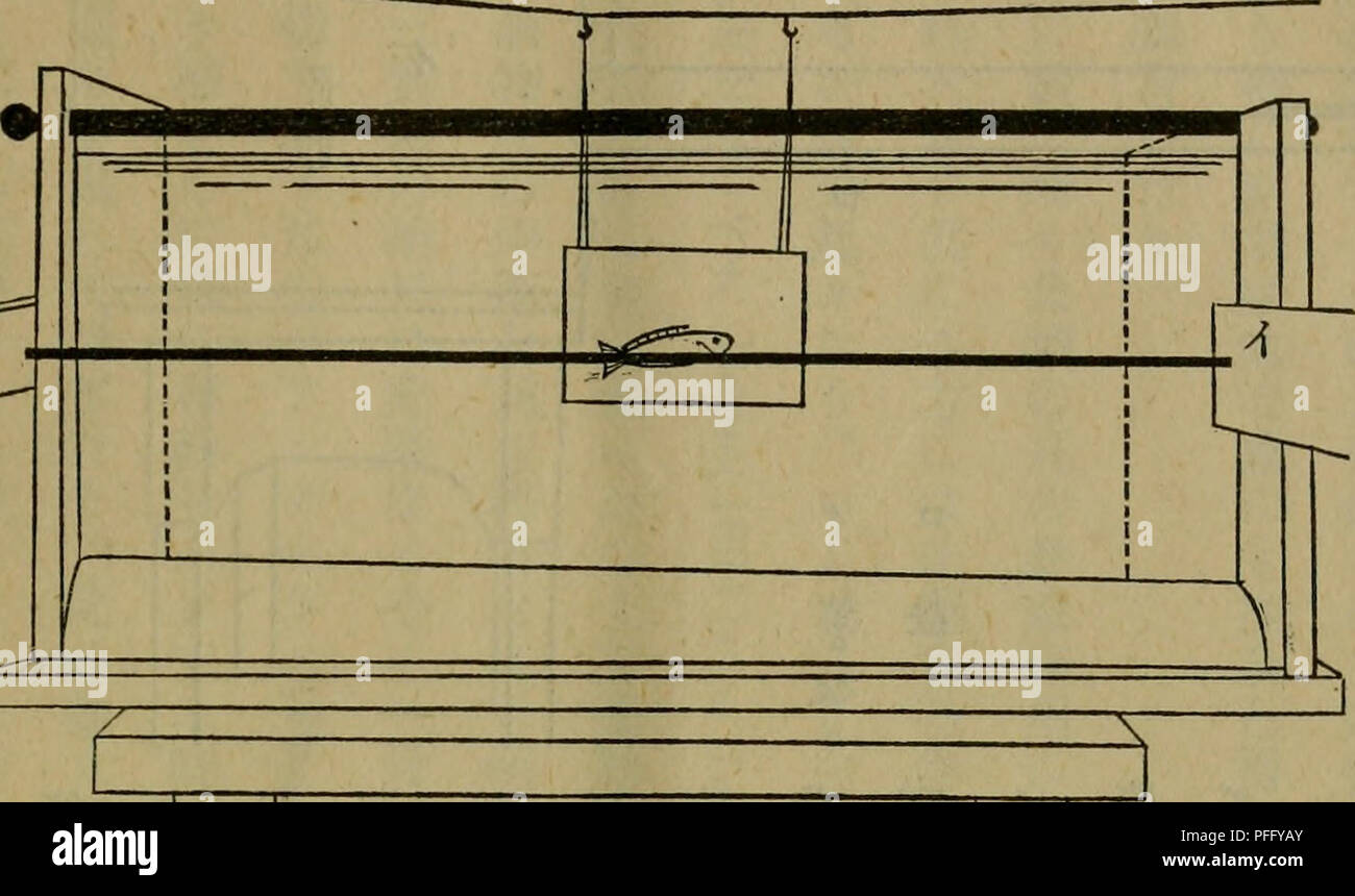 ba High Resolution Stock Photography And Images Alamy