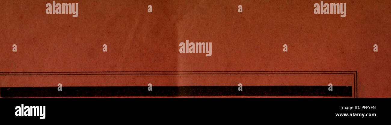 Page 5 Ae Ae C E A A Ae Ae High Resolution Stock Photography And Images Alamy Page 5 Ae Ae C E A A Ae Ae High Resolution Stock Photography And Images Alamy