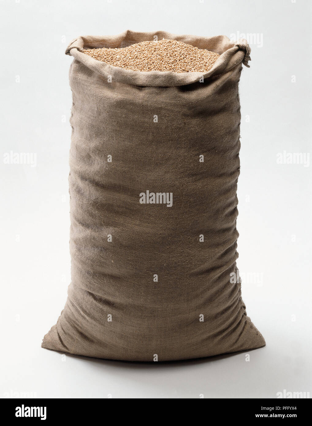 Sack of Wheat Grain Stock Photo Alamy