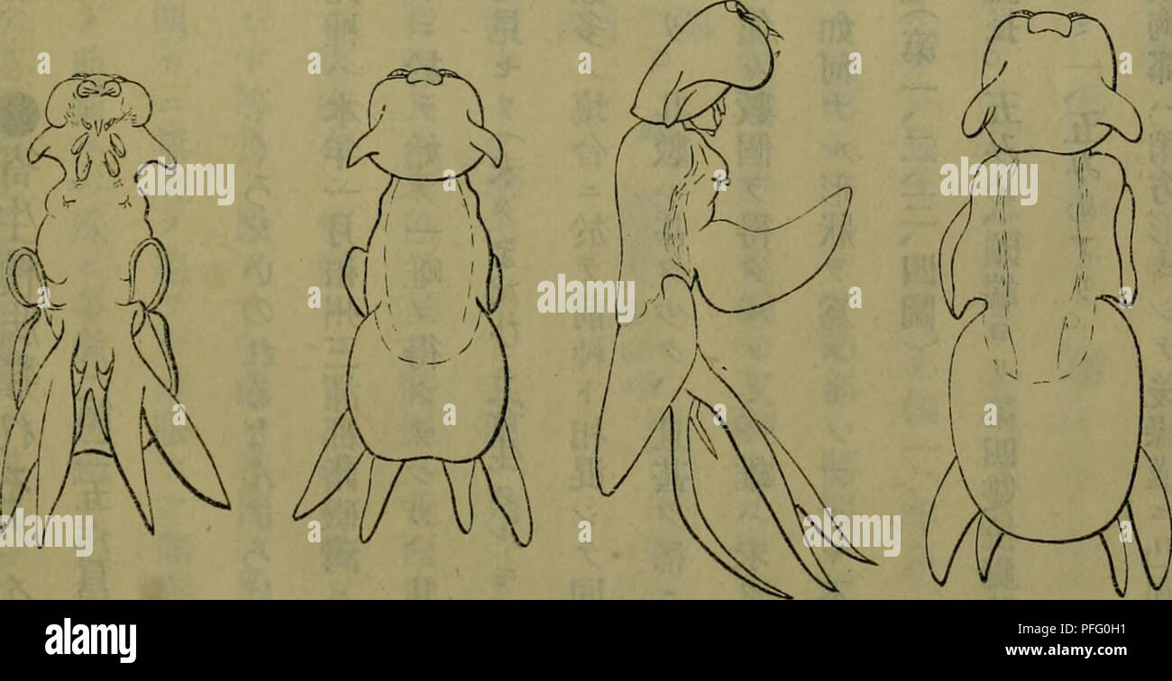 Dbutsugaku Zasshi Zoology Zoology Ae Aºaaeaa A Ae Ae A Cae C Ee aªaaaa A A B0 C Ae A A A A aa Ae A Aªe A A E a A C e A Ae C Ae C A Ae A Cªaºa Ae C Ac C A Ae A A Aªacªaa A A Ae A Ae A Aªo E E A Eca Ae I A A A Ae E Dbutsugaku Zasshi Zoology Zoology Ae Aºaaeaa A Ae Ae A Cae C Ee aªaaaa A A B0 C Ae A A A A aa Ae A Aªe A A E a A C e A Ae C Ae C A Ae A Cªaºa Ae C Ac C A Ae A A Aªacªaa A A Ae A Ae A Aªo E E A Eca Ae I A A A Ae E