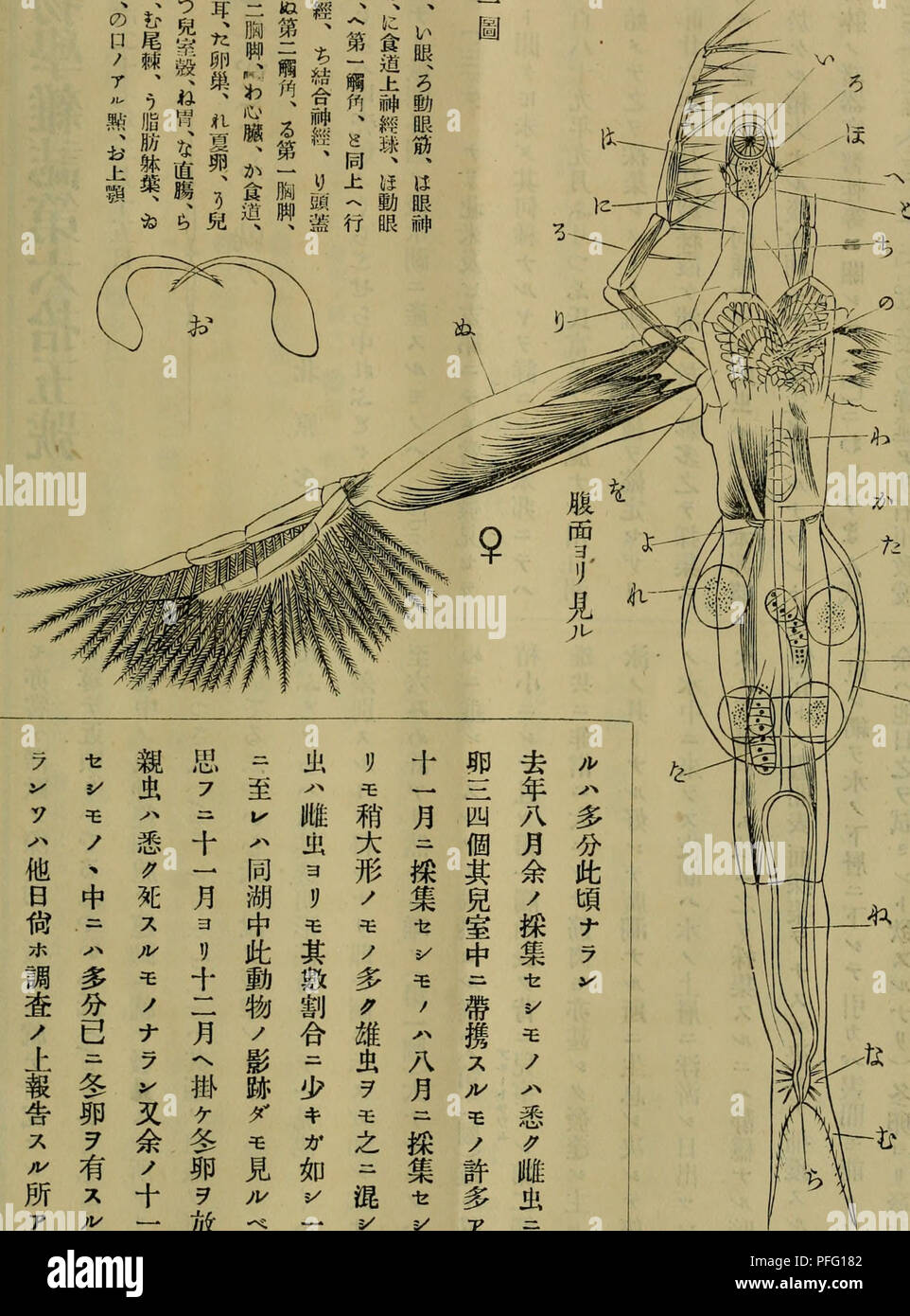 Naaa High Resolution Stock Photography And Images Alamy