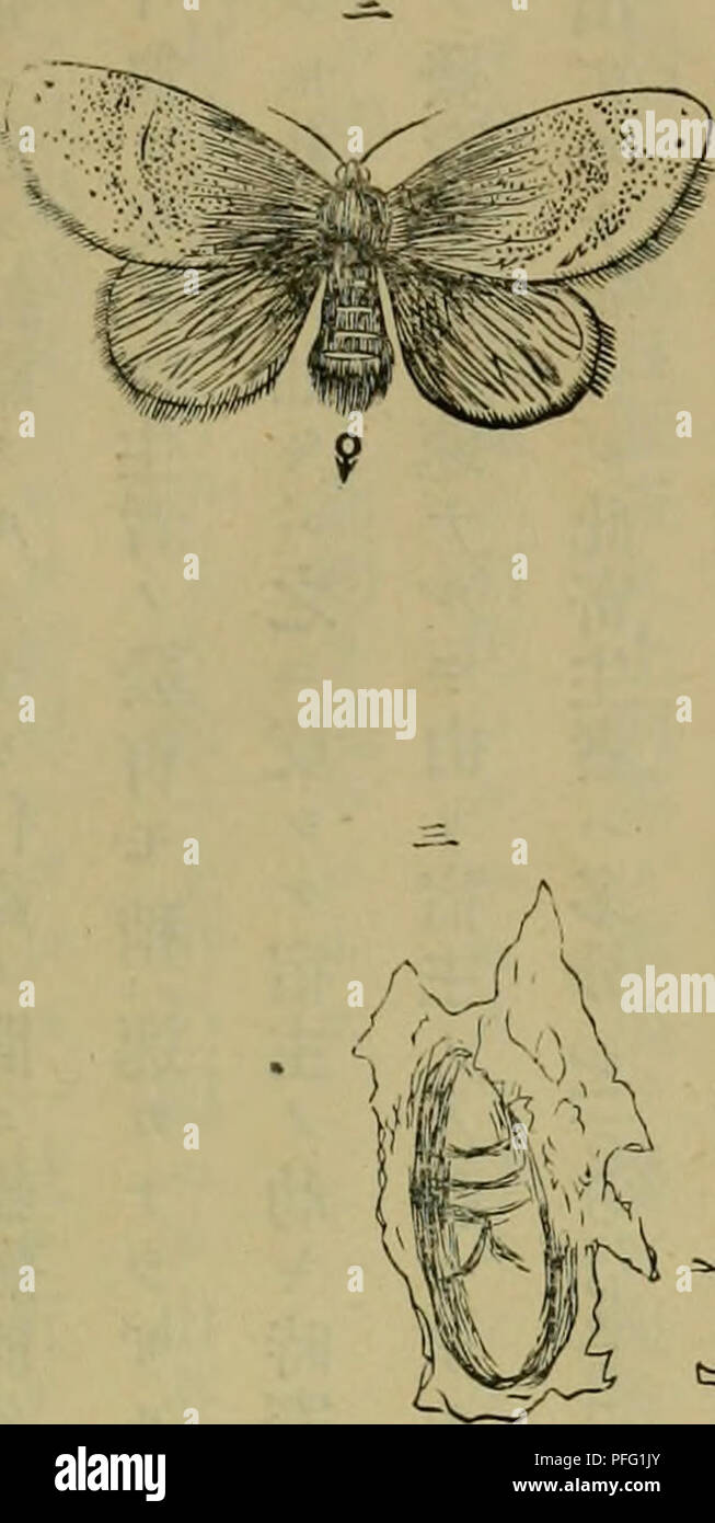 Page 438 F E M A High Resolution Stock Photography And Images Alamy