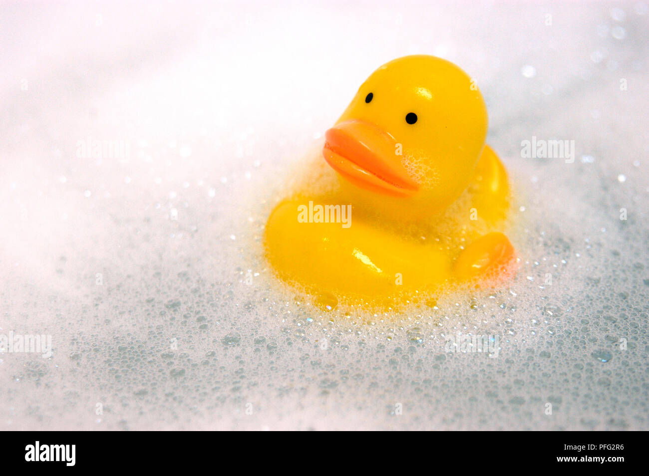 Yellow rubber duck floating in a bath, close up Stock Photo - Alamy