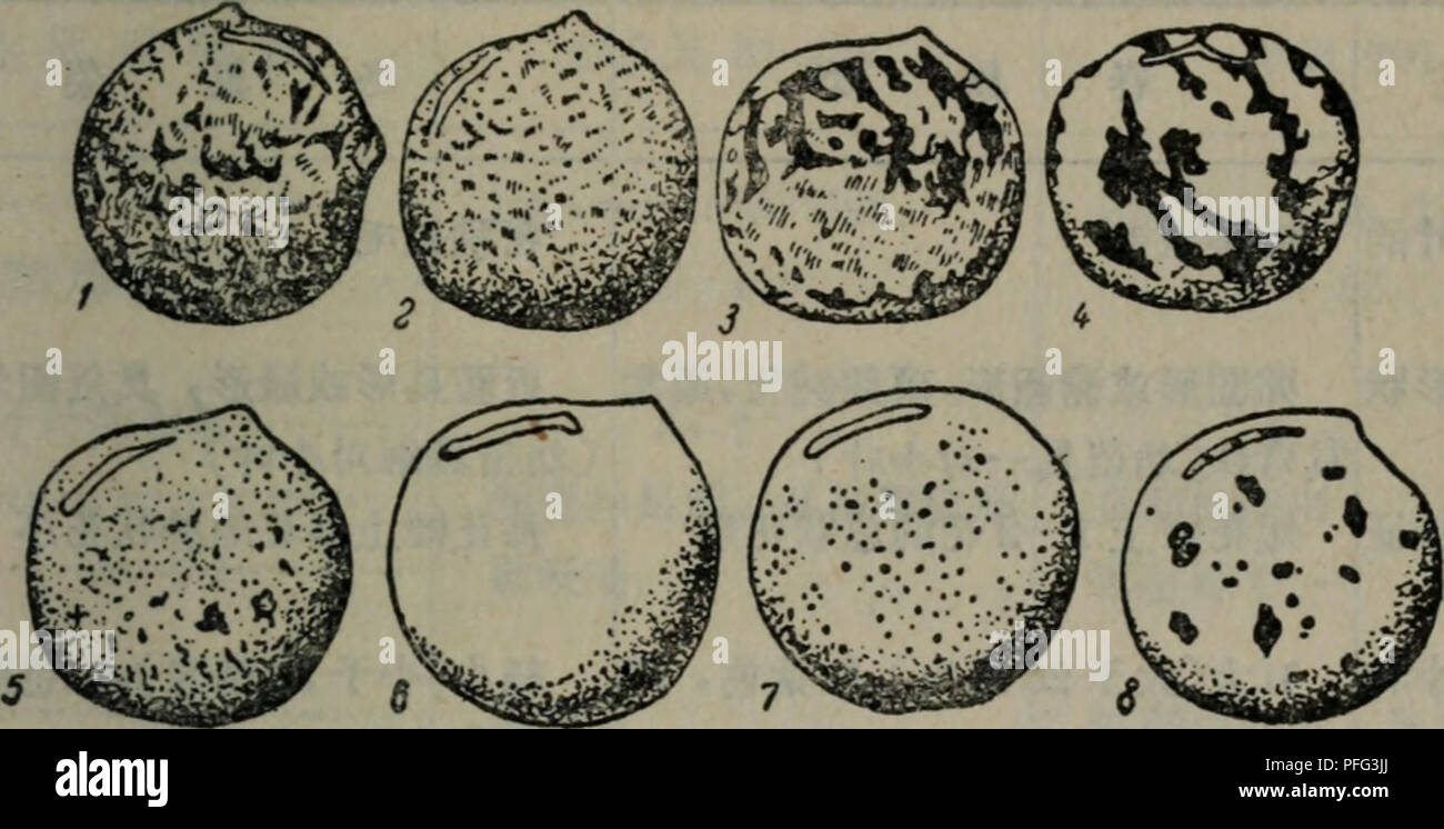 好 市 多 igloo 冰 桶