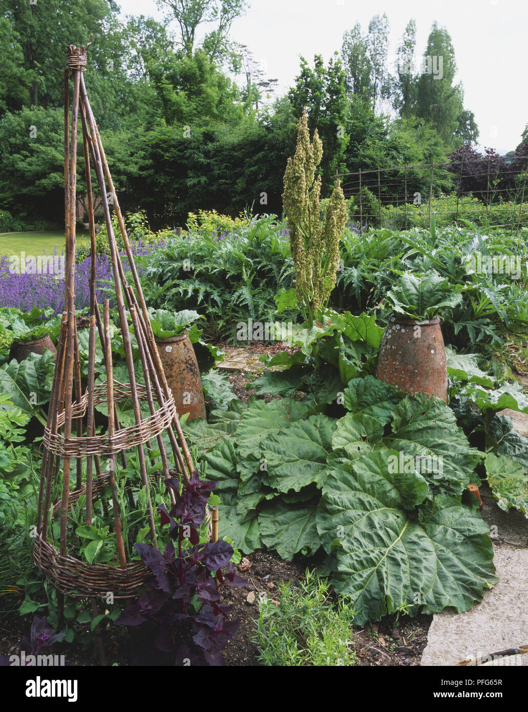 Wigwam frame in a vegetable garden Stock Photo