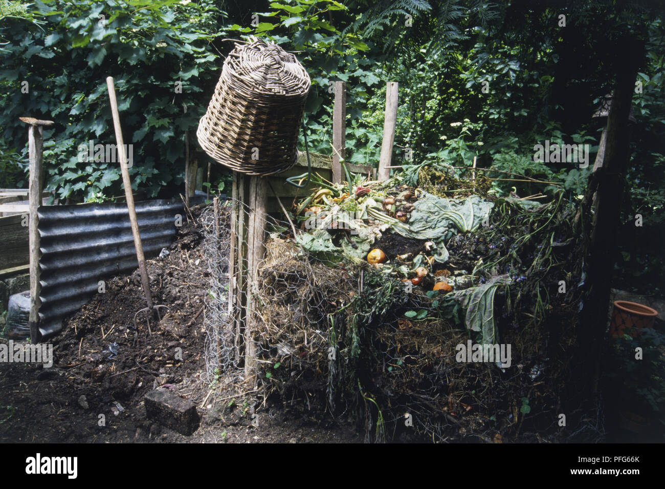 A compost heap with a wicker basket Stock Photo Alamy