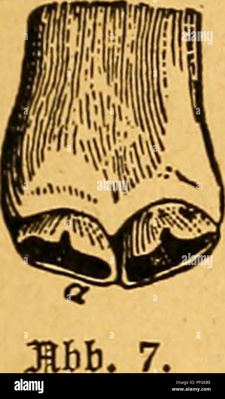 Sinei High Resolution Stock Photography And Images Alamy