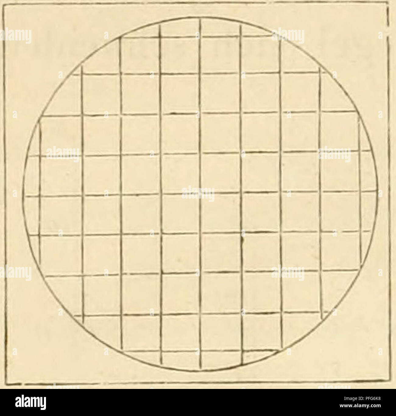 . Das Mikroskop, Theorie und Anwendung desselben. Microscopes. 54 Theorie des Mikroskops. bildcs in Folge der sphärischcMi Aberration des CoUcctivs um so stärker verkleinert werden, je grösser ihr Abstand von der optisehen Axe. Dem entsprechend würde z. B. ein quadratisches Maschennetz ;Fig. '2(1 , als Objectivbild gedacht, im reellen Bilde des Collectivs wie in Fiii. 2 1 erscheinen.. ^ ^ =T- X A J   u ^ A l vi r = w Figur 20. Fis:ur 21. Figur 22. Gerade umgekehrt ist die Wirkung^ wenn eine Linse unter übri- gens gleichen Voraussetzungen so gestellt ist, dass sie statt reeller virtuelle Bilder Stock Photo