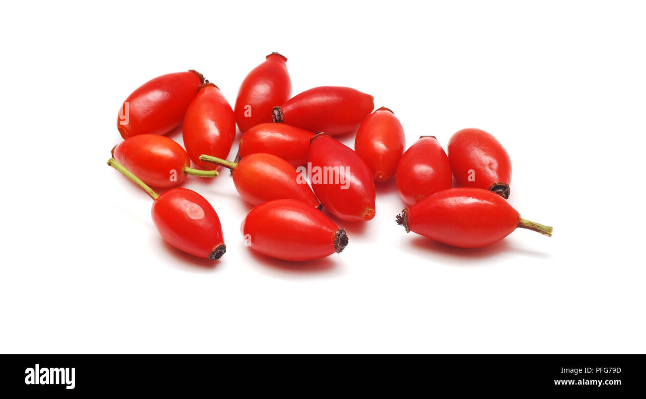 dog rose isolated on white Stock Photo - Alamy