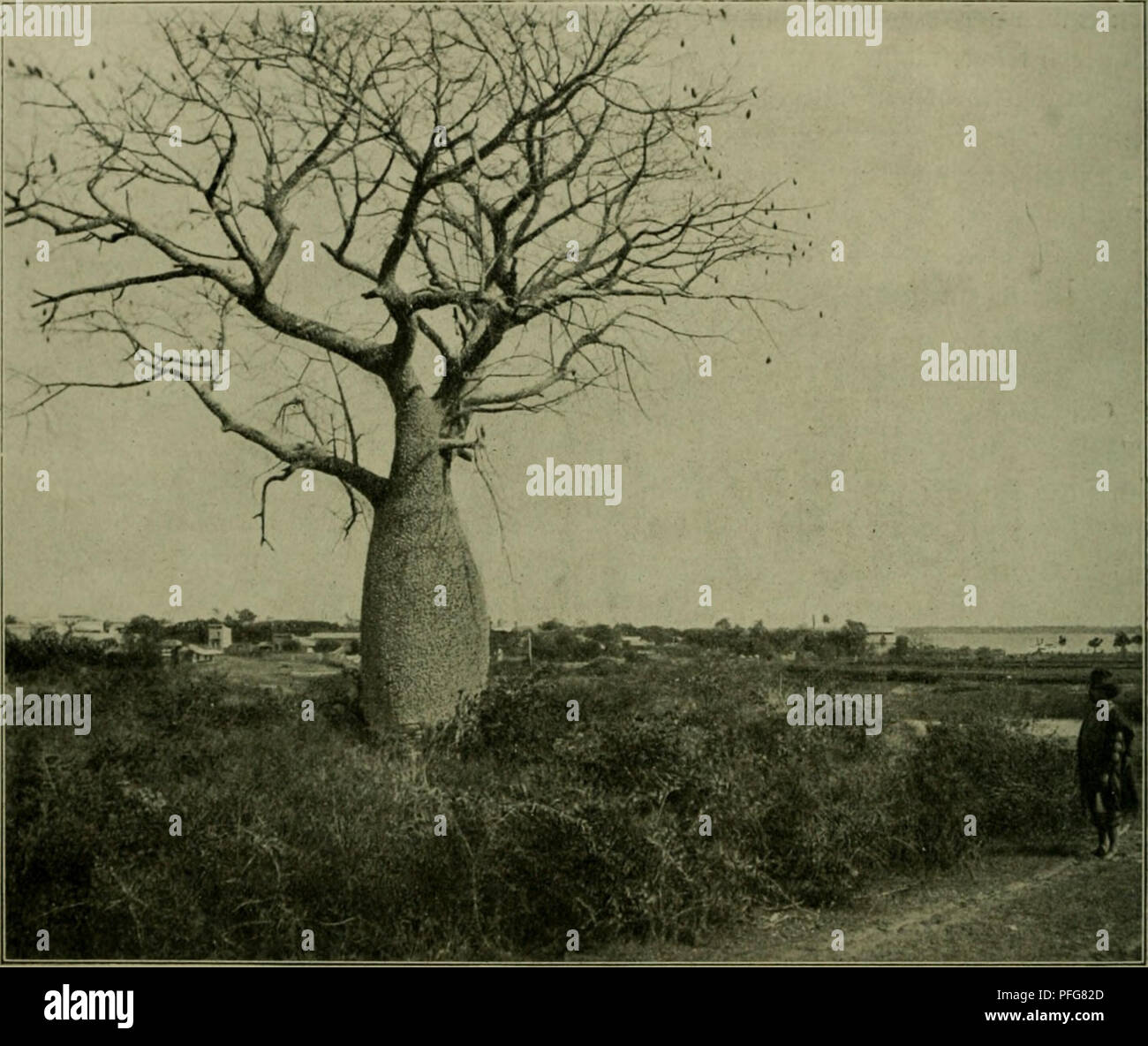 Parrige hires stock photography and images Alamy