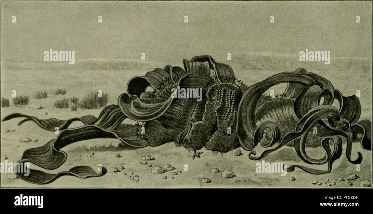 Nlb Stock Photos & Nlb Stock Images - Alamy