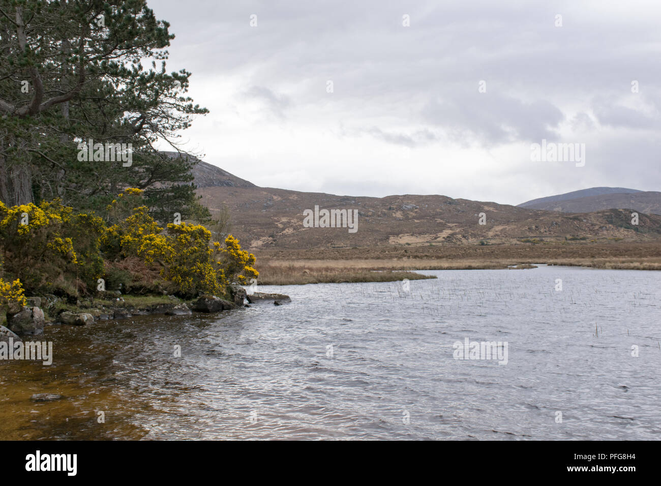 a shot of a lake in an irish landscape in county Donegal, ireland Stock Photo