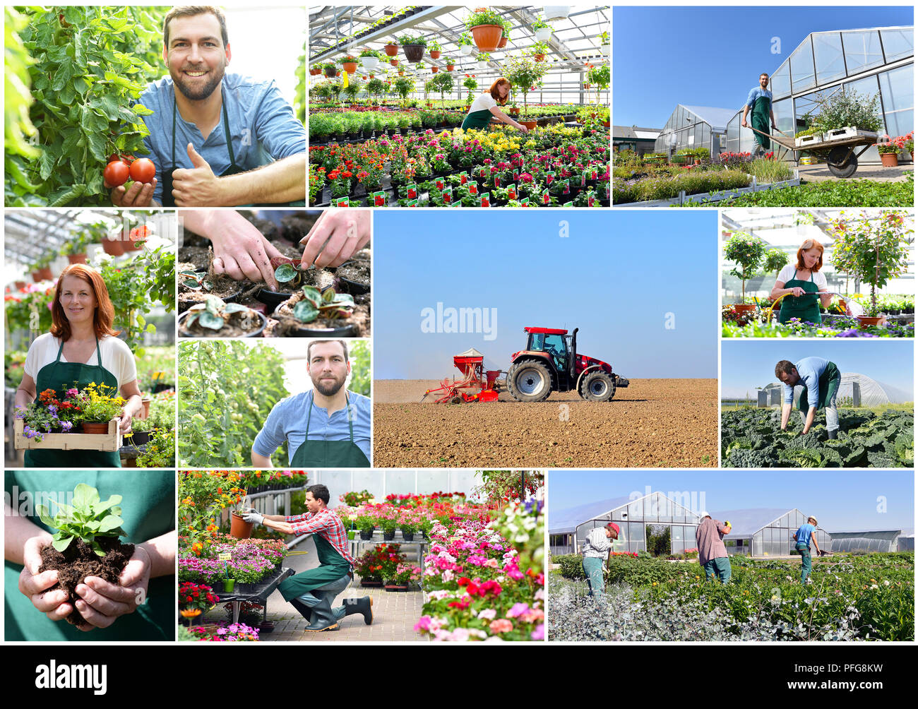 workers cultivating flowers and vegetables in agriculture Stock Photo