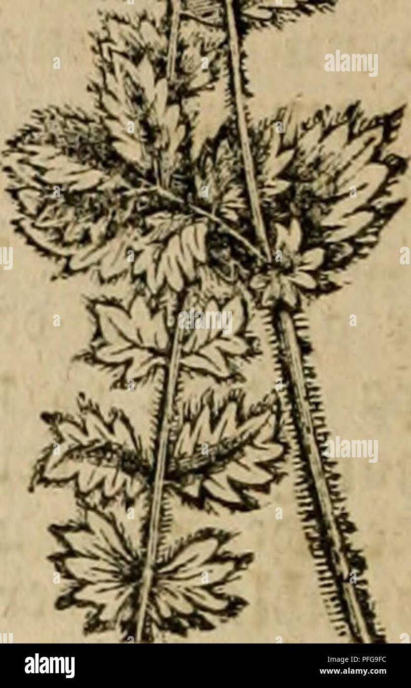 Lov U High Resolution Stock Photography And Images Alamy