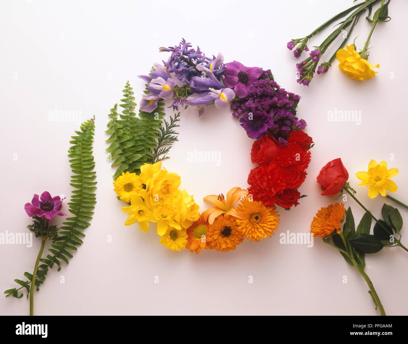 Wreath of different coloured flowers, including anemone, narcissus, chrysanthemum, iris, hyacinth, anemone, stachys, rose, dianthus, lily and fern Stock Photo