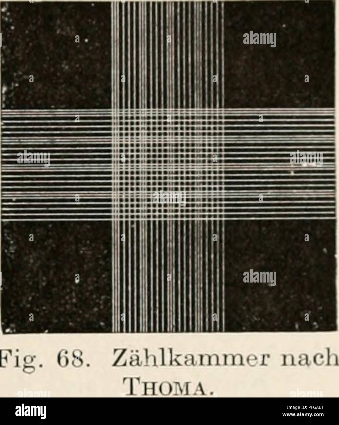 . Das botanische praktikum, anleitung zum selbststudium der