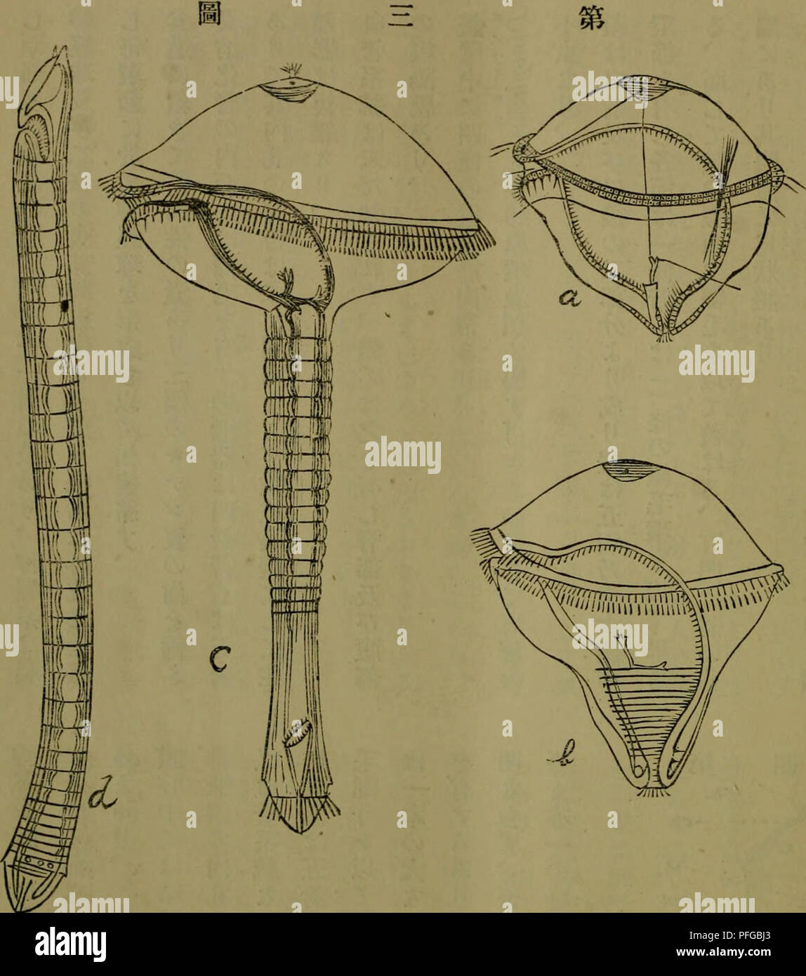 Dbutsugaku Zasshi Zoology Zoology A Eea Aµa A E A Allaªaa C C A A C Eaacªa A A A Ae ea Ae C C A A C Eaa A C Eaaaa ªa A A Ia 0aa 0c Cac ºa A An Na Aha R C A A aªa A A A A C E E Ae Eªª E 1 ªa A a A A Aha Poly