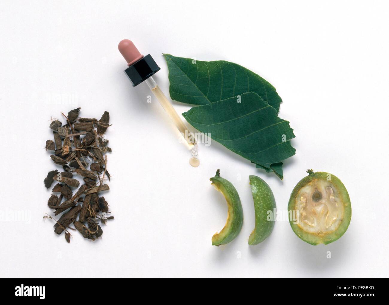 Leaf, walnut half, outer rind and pipette of walnut Bach flower remedy from Juglans regia, and dried inner bark form Juglans cinerea (Walnut tree) Stock Photo