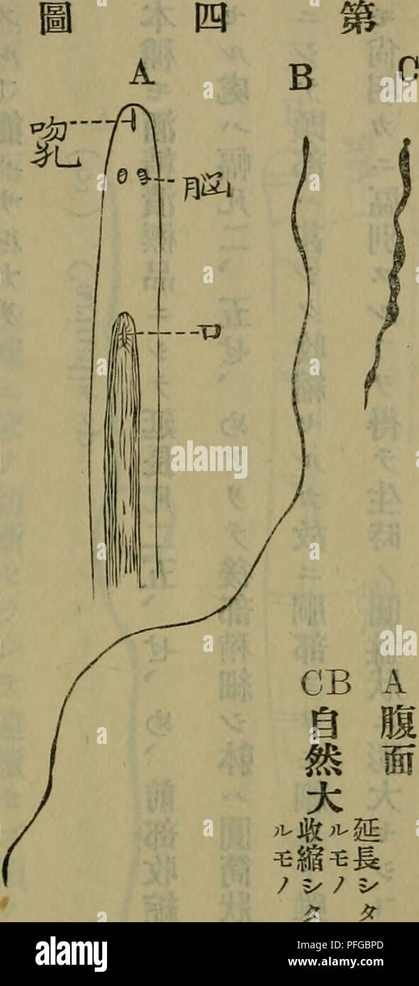 腕時計 デジアナ | 腕時計 アディダス