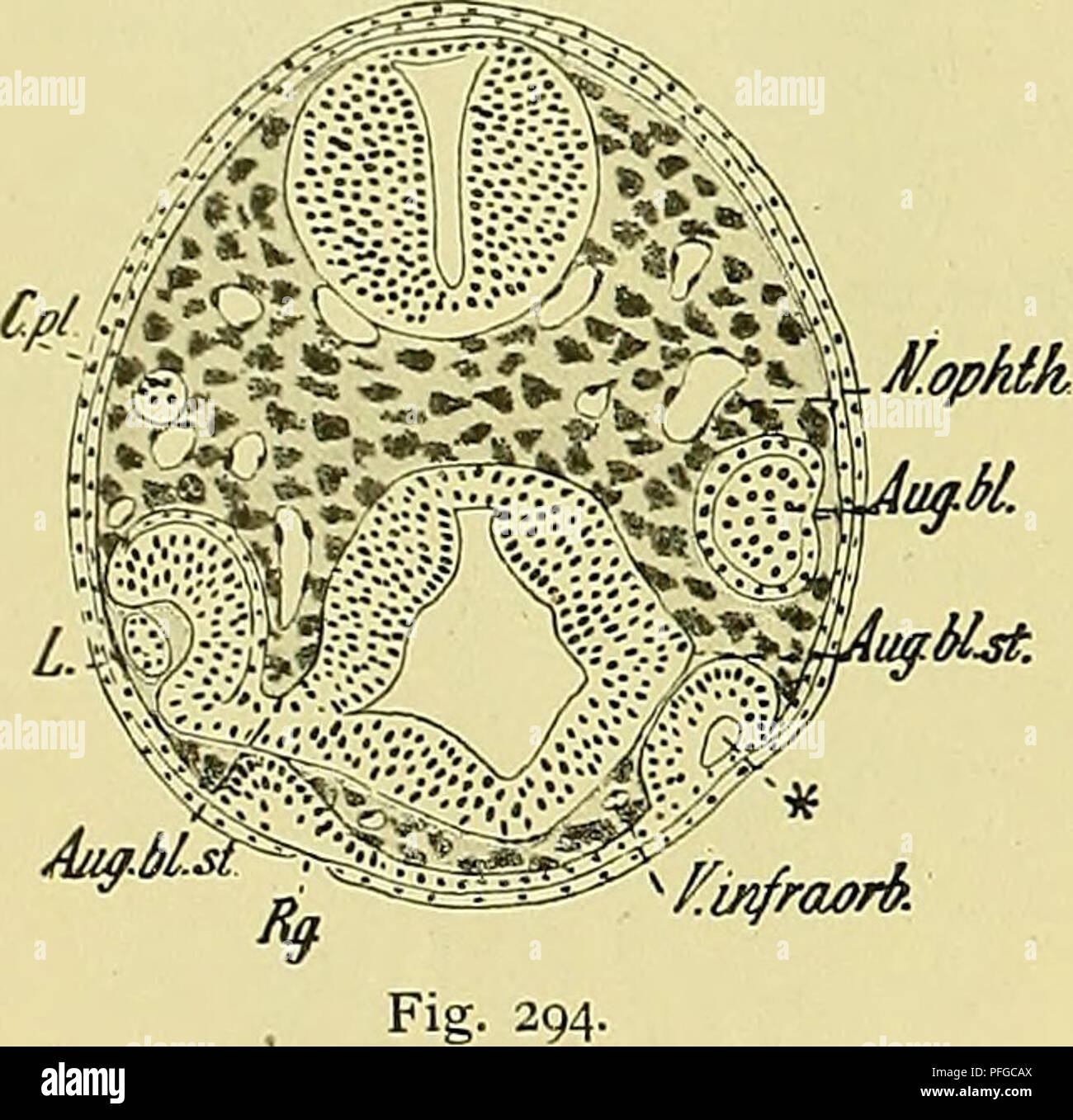 This paper from the Medical and Natural Science Society of Jena ...