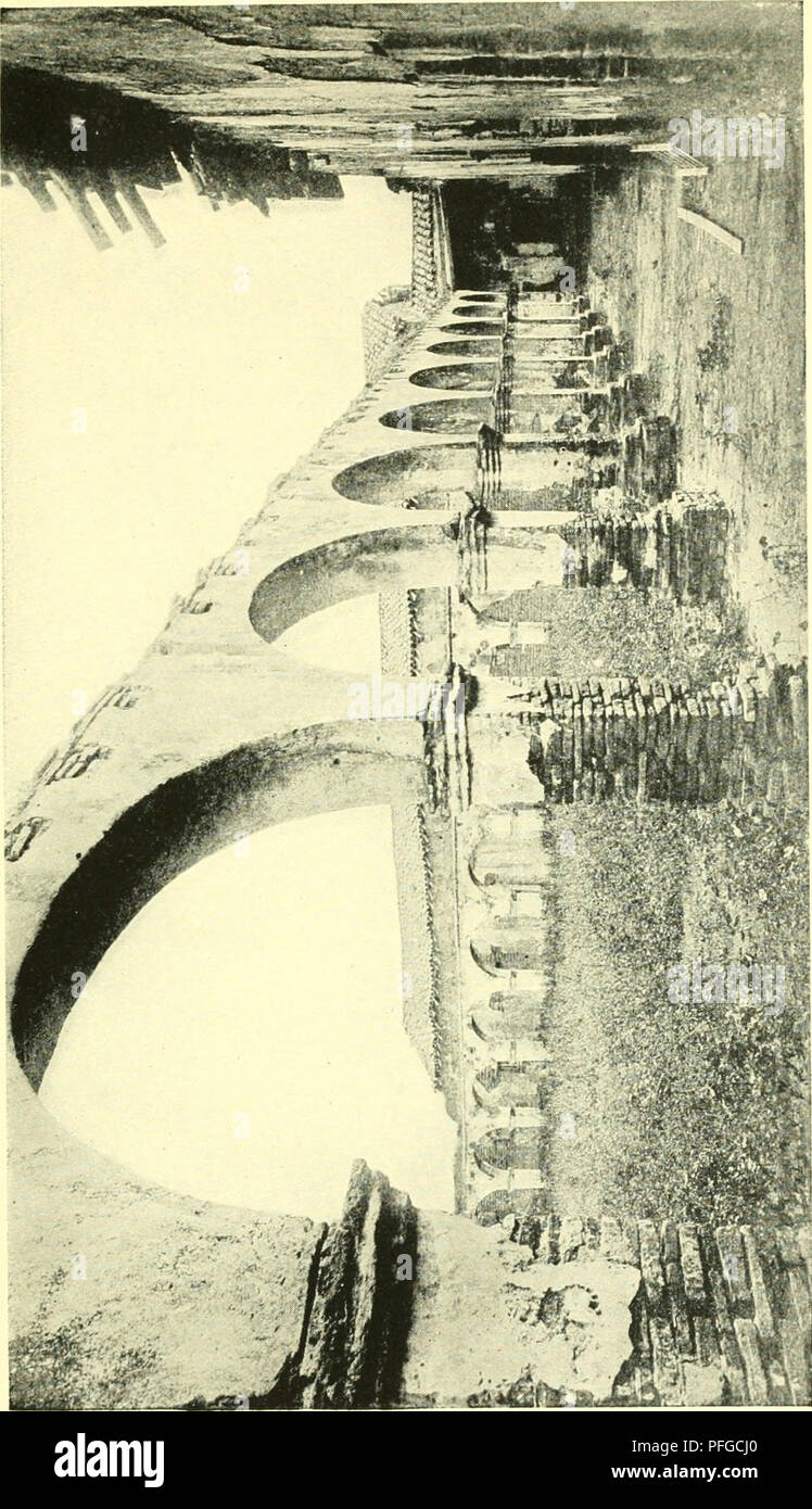 This memoir by David Starr Jordan recounts his experiences as a naturalist and educator, reflecting on his contributions to science and his democratic ideals. Stock Photo