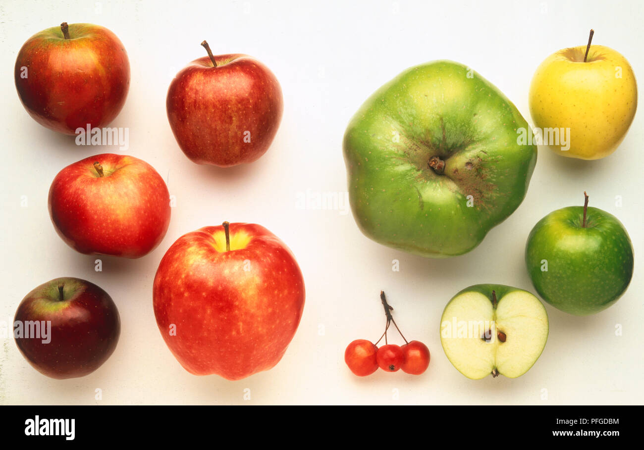 Selection of apples, including Golden Delicious, Bramley, Granny Smith  whole and halved, Starking, Red Delicious, Cox's Orange Pippin, Spartan,  McIntosh and crab apples Stock Photo - Alamy