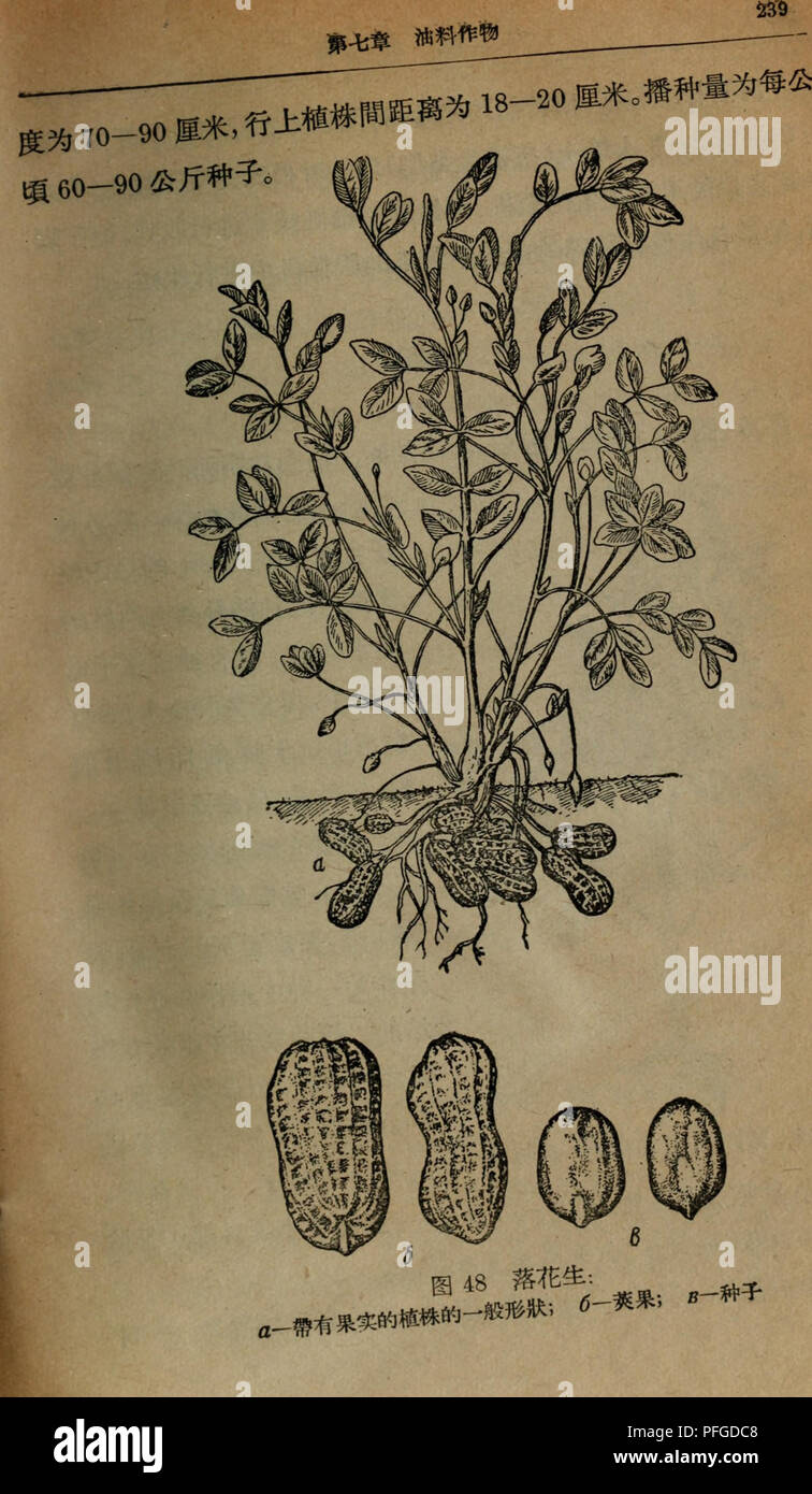 Chu Fu Hi Res Stock Photography And Images Alamy