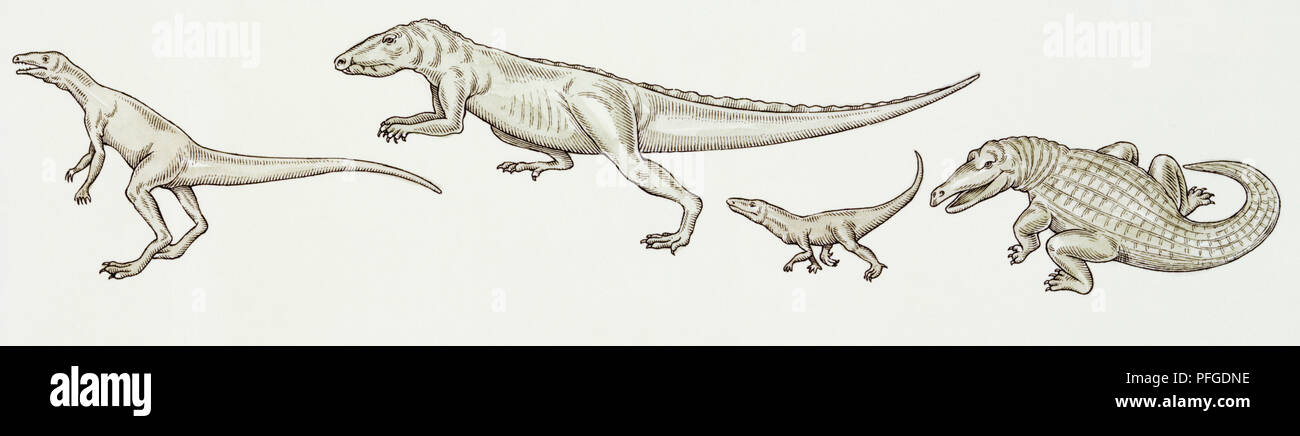 Illustration of the four stages of dinosaur development. Stock Photo