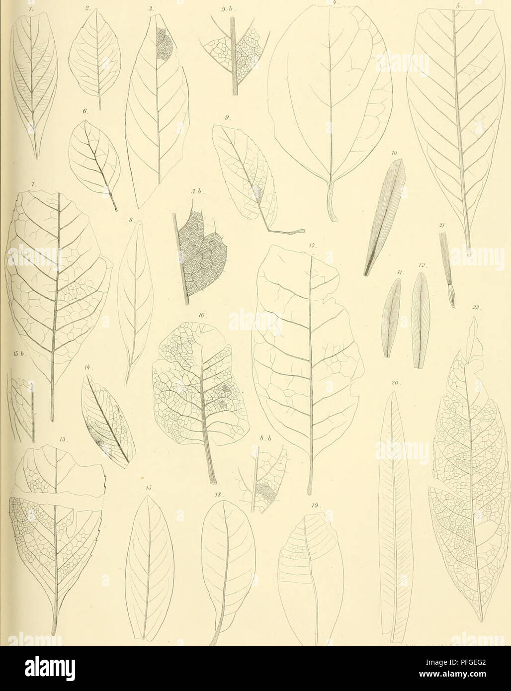 Denkschriften Der Kaiserlichen Akademie Der Wissenschaften Mathematisch Naturwissenschaftliche Classe Mathematics Science Denkschriften Der Kaiserlichen Akademie Der Wissenschaften Mathematisch Naturwissenschaftliche Classe Mathematics Science