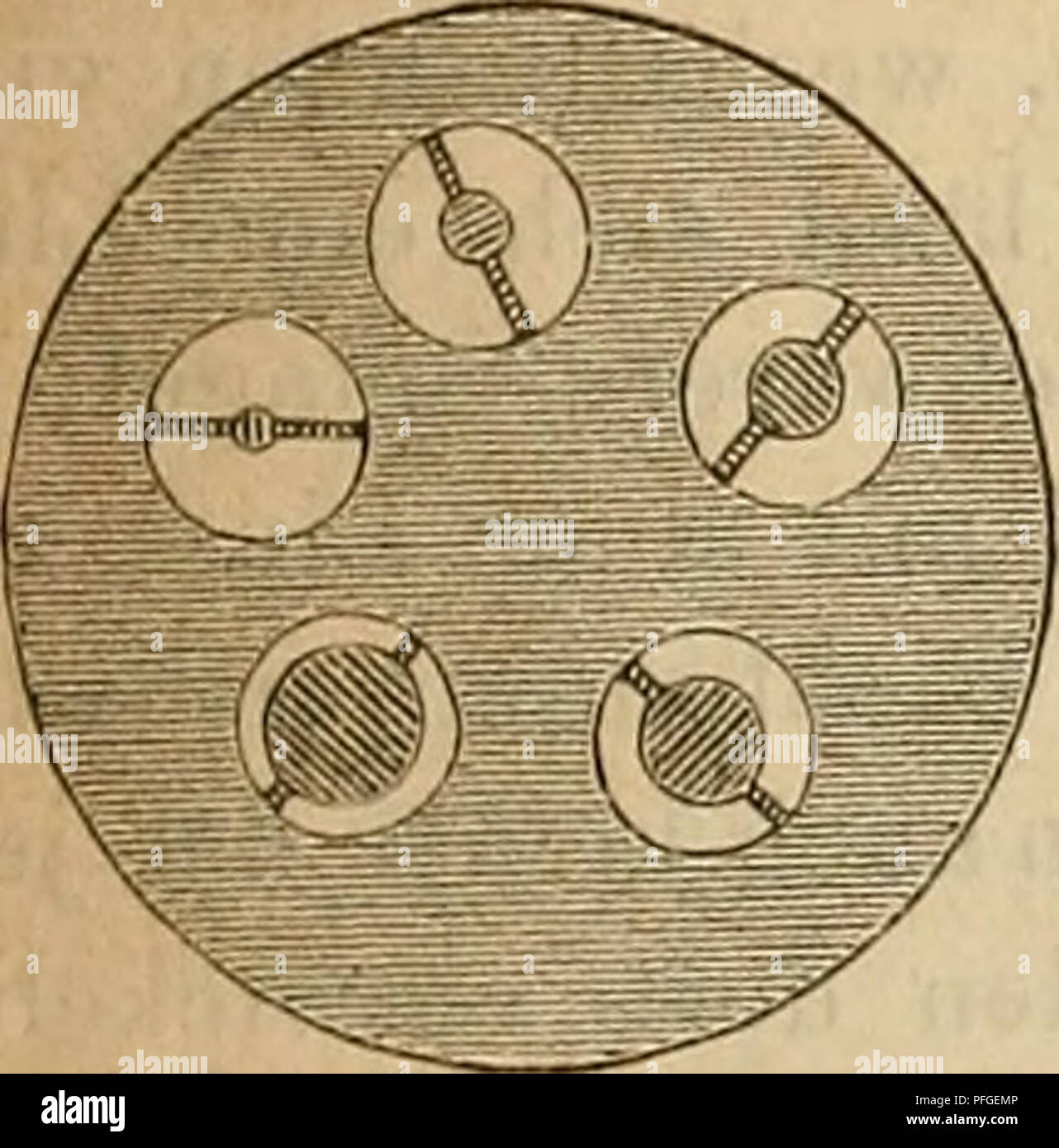 . Das mikroskop. Theorie, gebrauch, geschichte und gegenwÃ¤rtiger zustand desselben. Microscopes. Exccntrische Beleuchtung durch Abhalten der Axenstrahlcn. 835 verschiedenen Methoden laufen in der Hauptsache auf das NÃ¤mliche hinaus und es ist ziemlich einerlei, welcher von ihnen man den Vorzug giebt. Es versteht sich aber von selbst, dass ein solches Diaphragma nichts hilft, wenn der Beleuchtungsapparat paralleles Licht ins Gesichtsfeld sen- Fig. 337. det, und dass es auch sehr wenig leisten wird, wenn derselbe nur aus einem Hohlspiegel besteht, wodurch blos eine geringe Convergenz oder Di- v Stock Photo