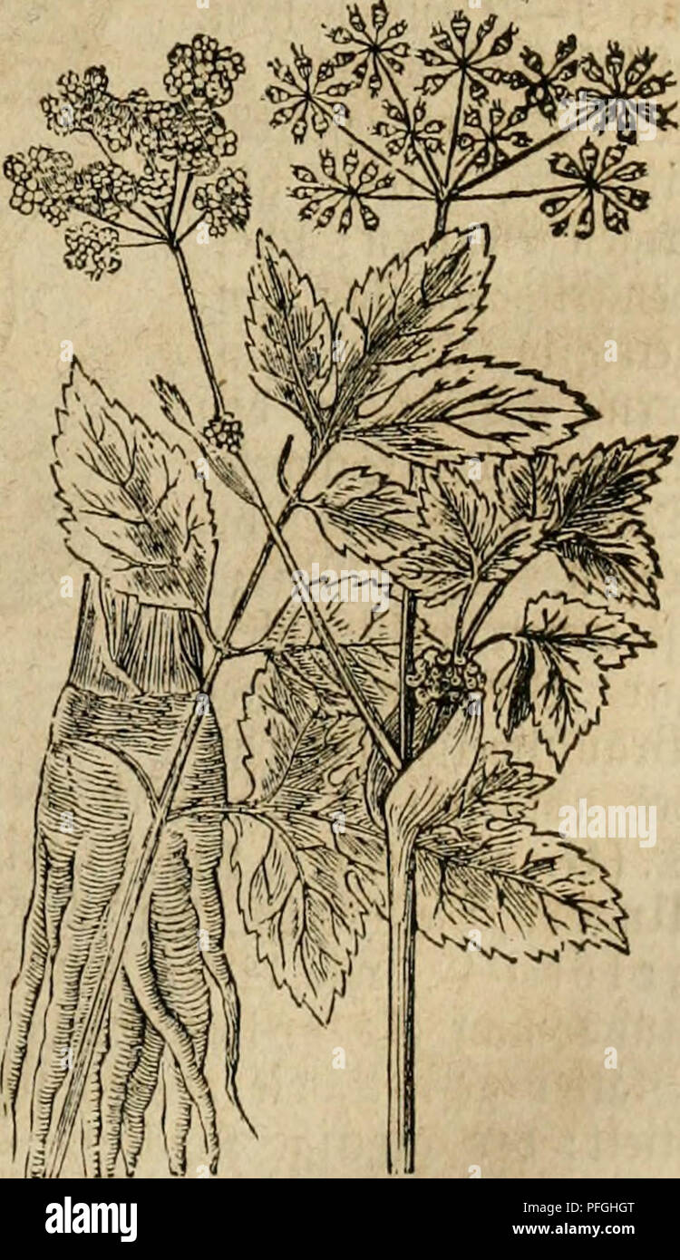 Page 2 Jta High Resolution Stock Photography And Images Alamy