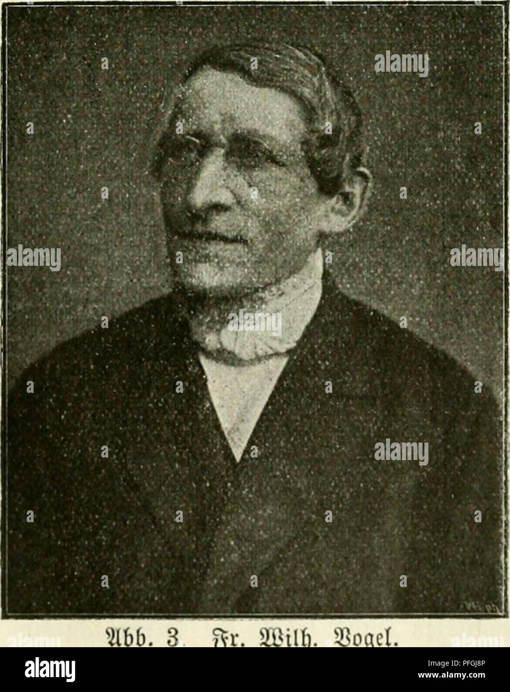 This German text discusses the culture and management of bees, including methods for beekeeping and the importance of bee populations for pollination and agriculture. Stock Photo