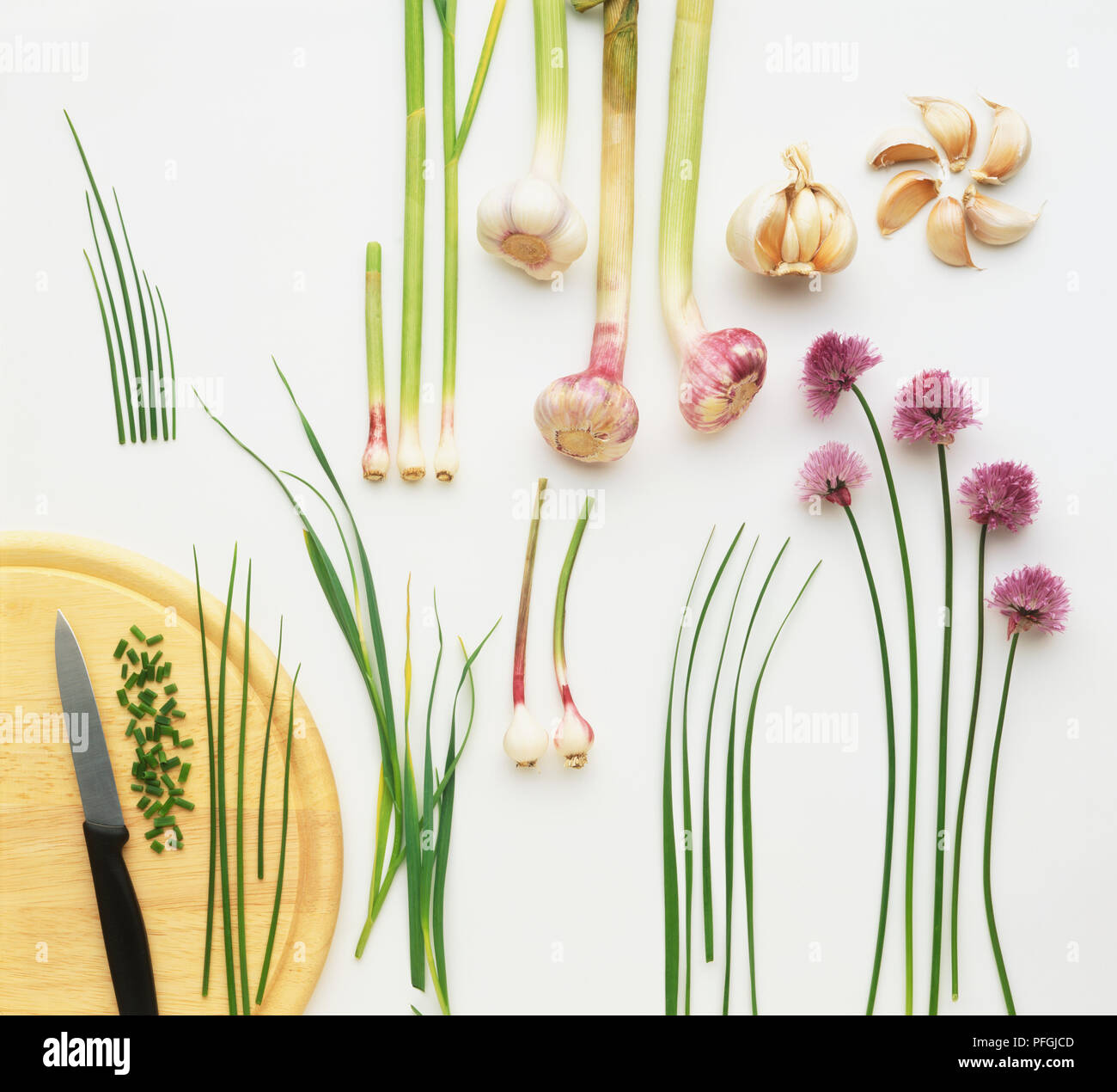 Allium sp., varieties of Chive, Garlic and Onions Stock Photo