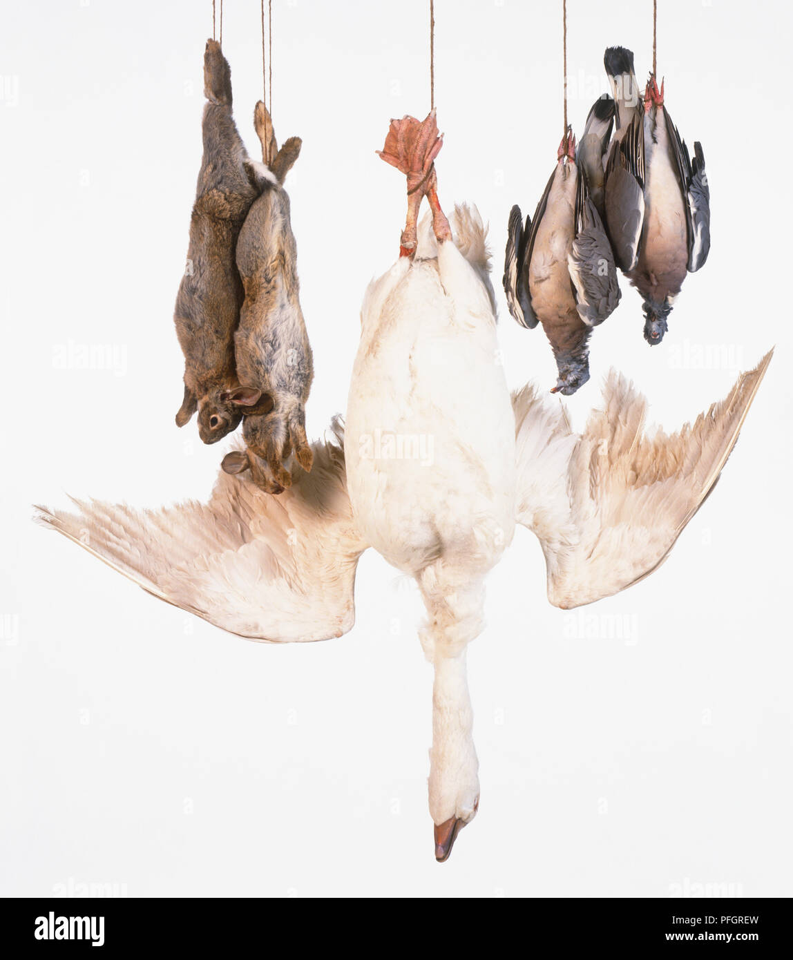 Game larder hires stock photography and images Alamy