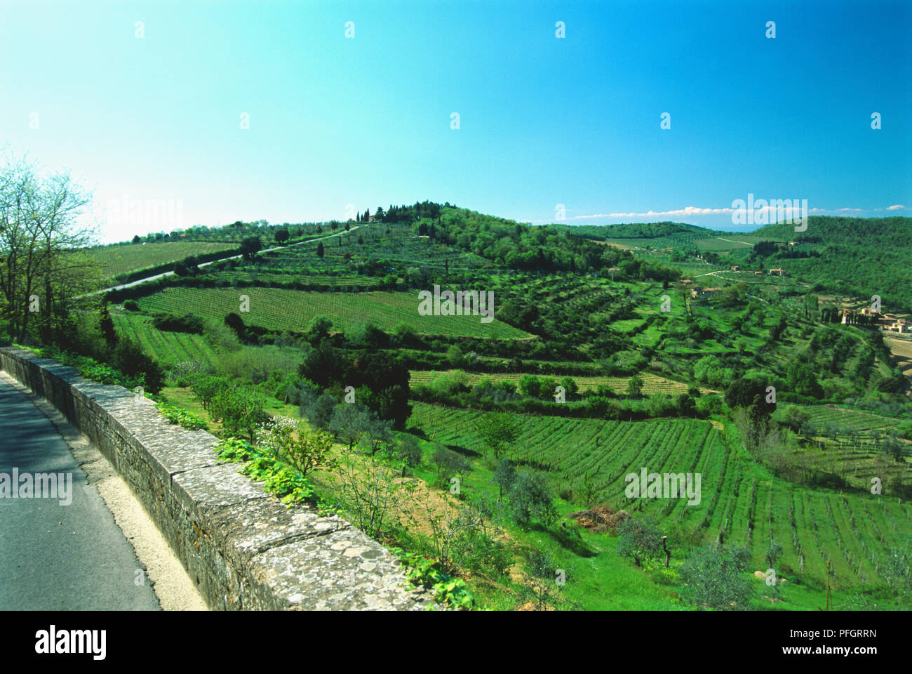Italy, Tuscany, Chianti, Panzano, view of hills covered in green vegetation. Stock Photo