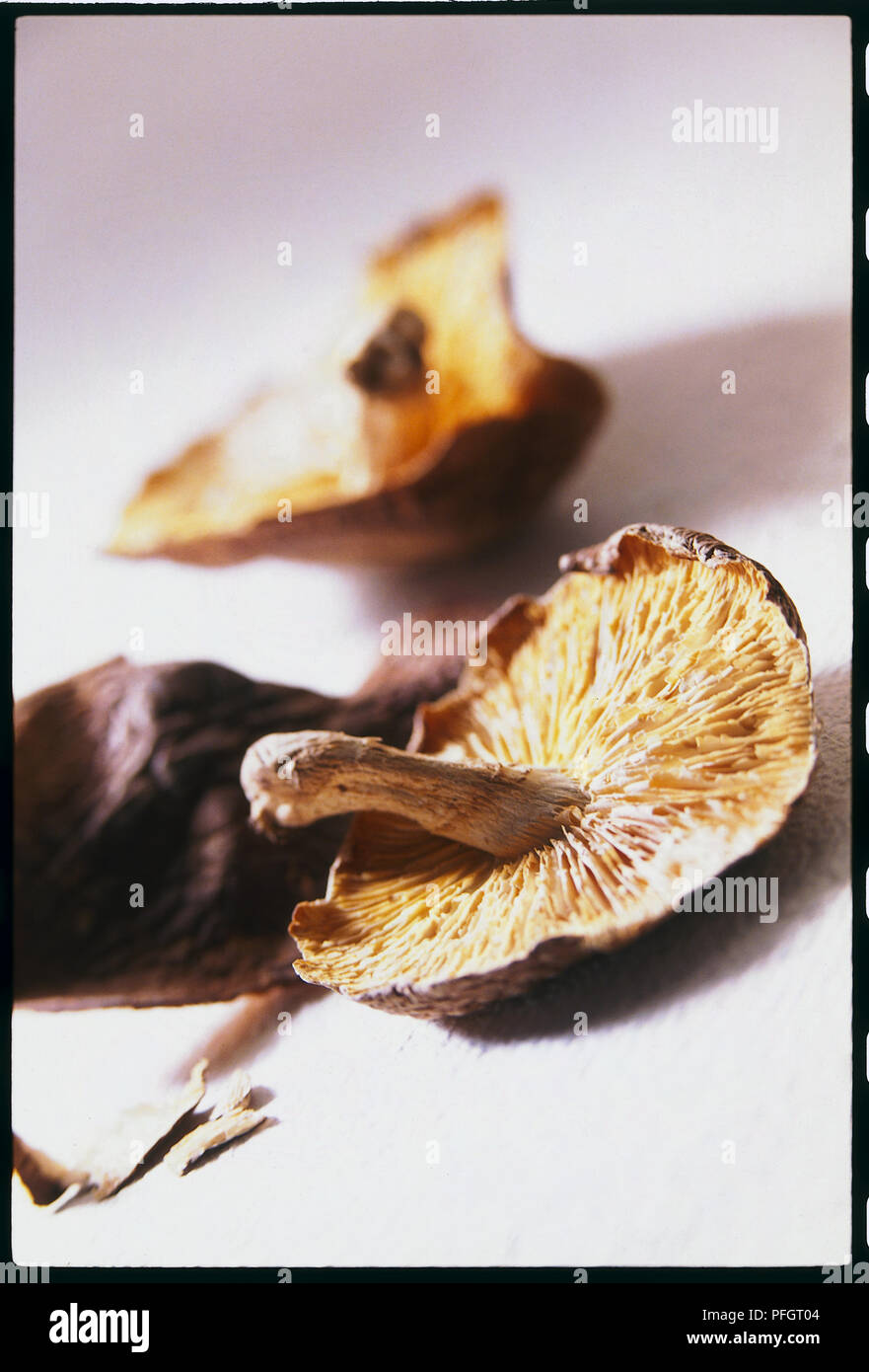 Dried shiitake mushrooms, defocused Stock Photo