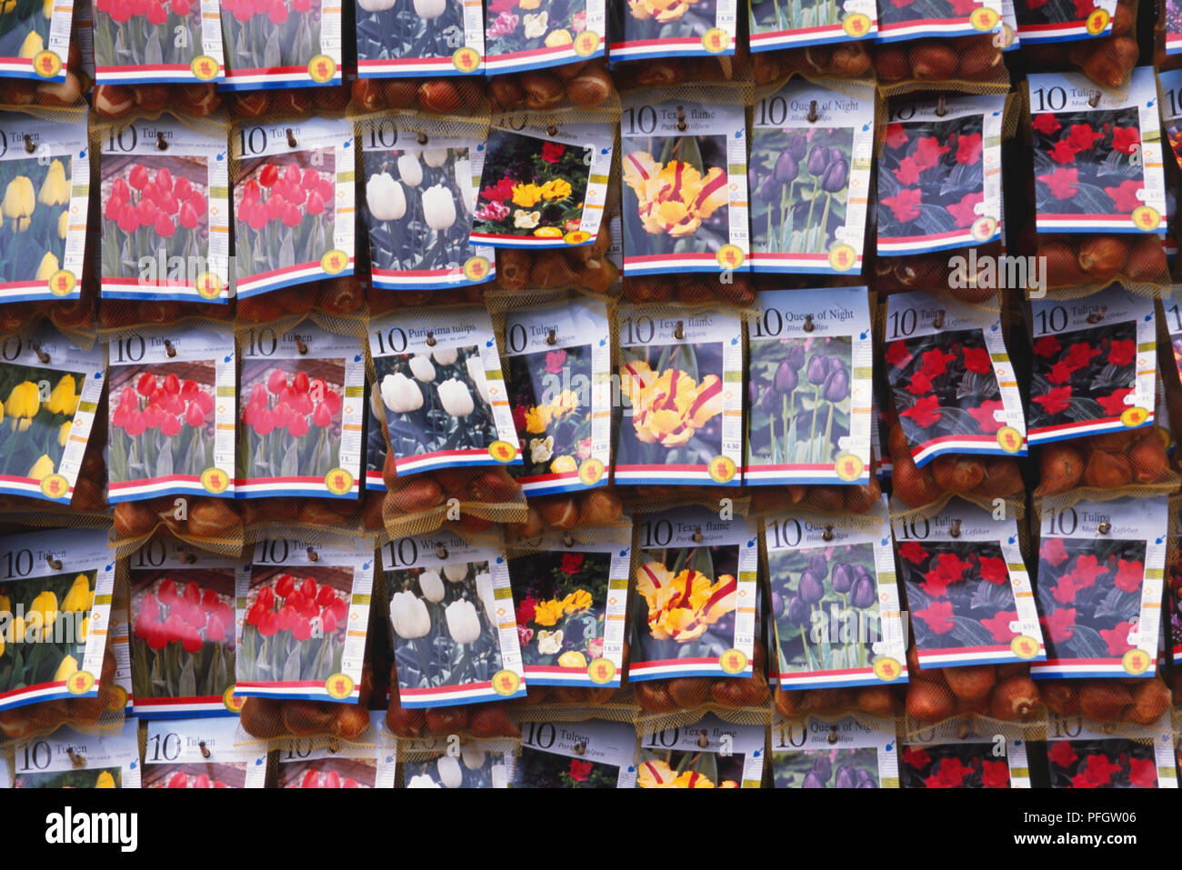 PrePacked Tulip Bulbs in Bloemenmarkt, Amsterdam Stock Photo Alamy