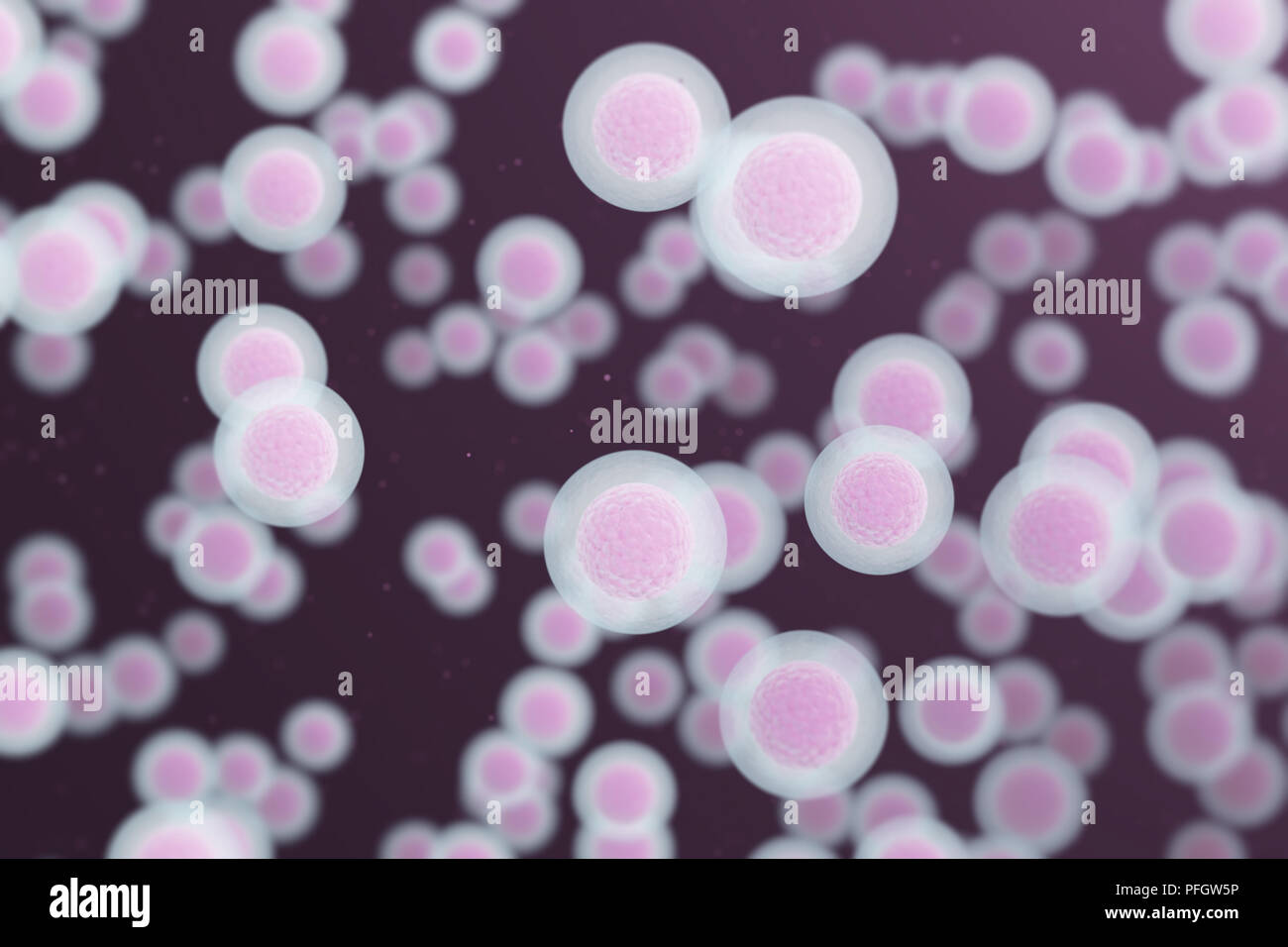 Human cells background science and medical background Stock Photo