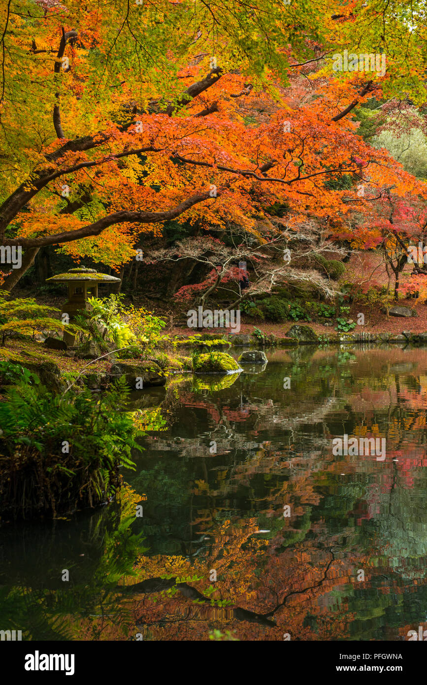 Trees with beautiful Autumn colours and their reflection on a pond in Narita-san Park, Narita, Japan Stock Photo