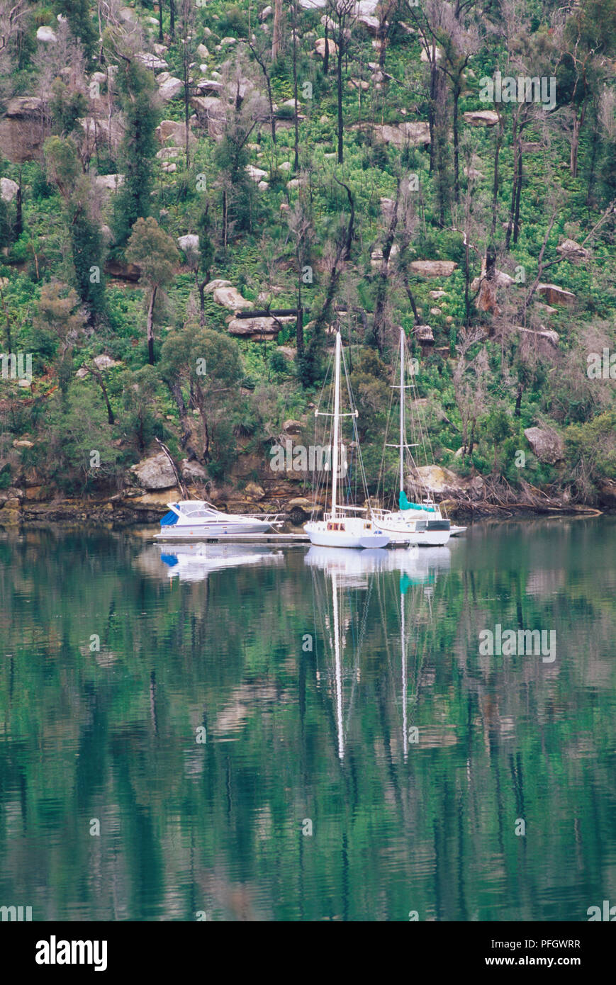 Australia, New South Wales Sydney, Yachts in Coal and Candle Creek, the bush in the background has regrowth after a bushfire. Stock Photo