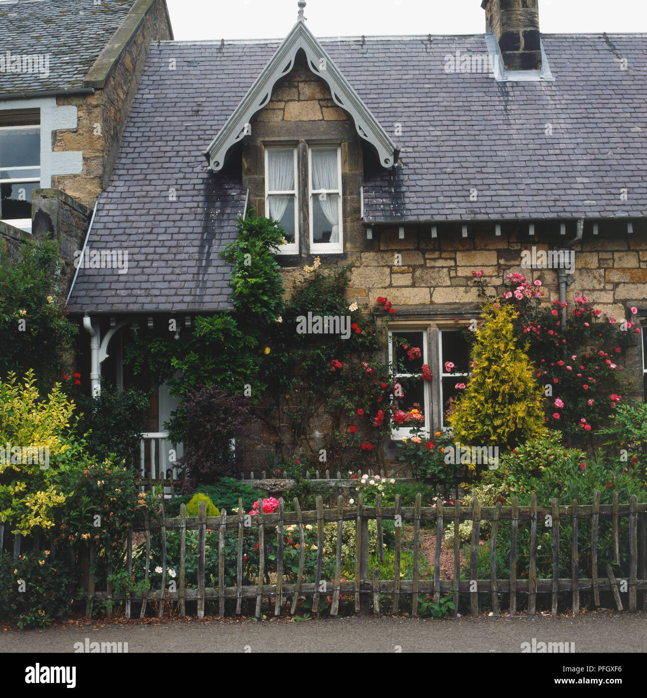 Cottage garden colour hi-res stock photography and images - Alamy